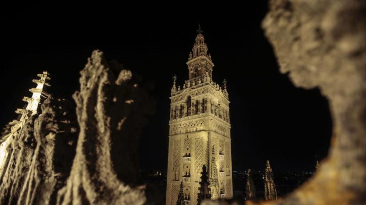 Espectacular imagen de las cubiertas de la Catedral iluminadas durante la visita nocturna