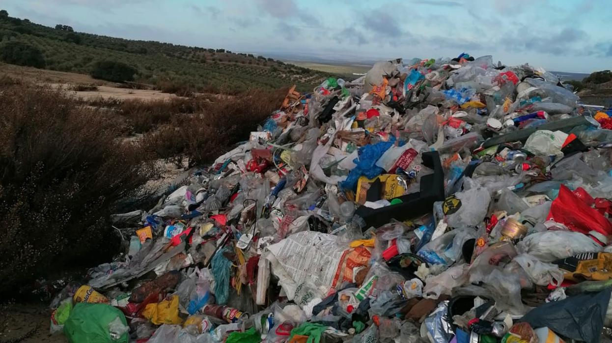 Basura de la planta de Estepa amontonada sin reciclar junto a un olivar