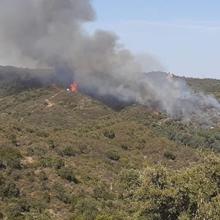 Las seis noticias que debes conocer hoy, miércoles 5 de agosto