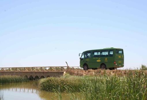 Imagen de los autobuses todoterrenos que realizan las excursiones