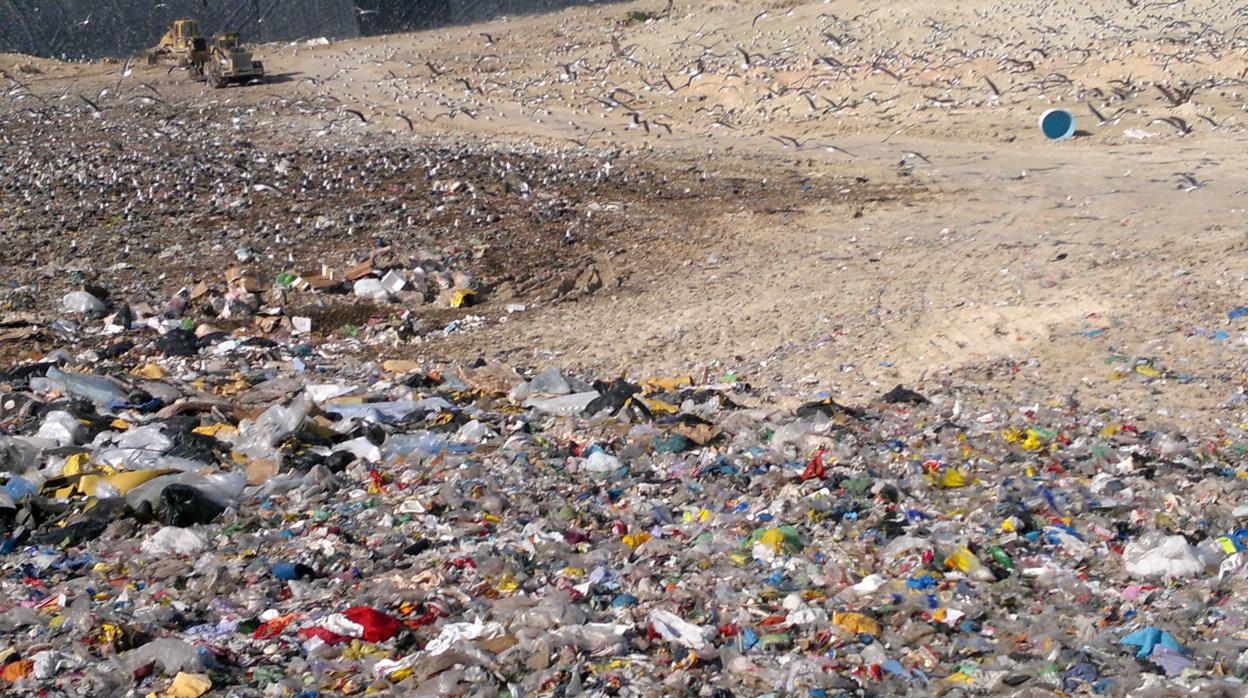 La basura enterada en una balsa junto a los olivares