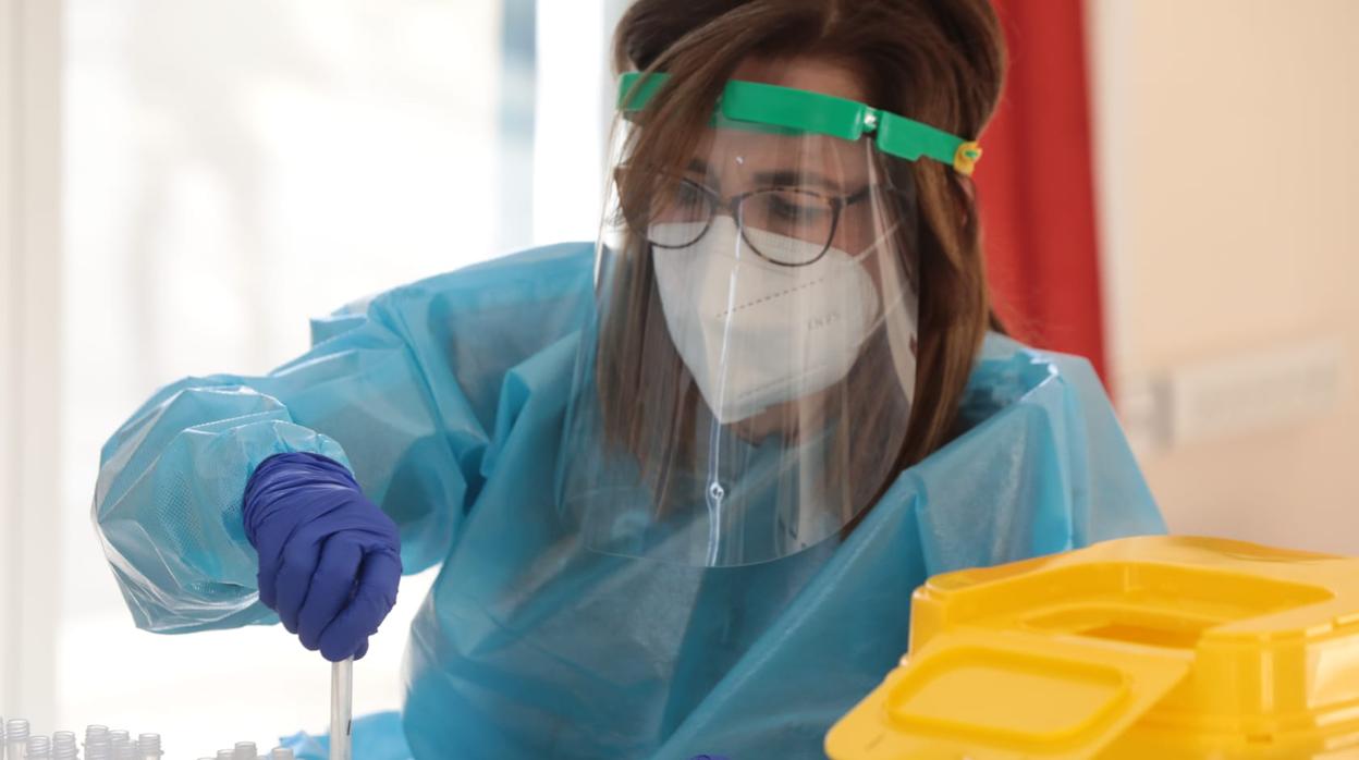 Cribados masivos en Coria