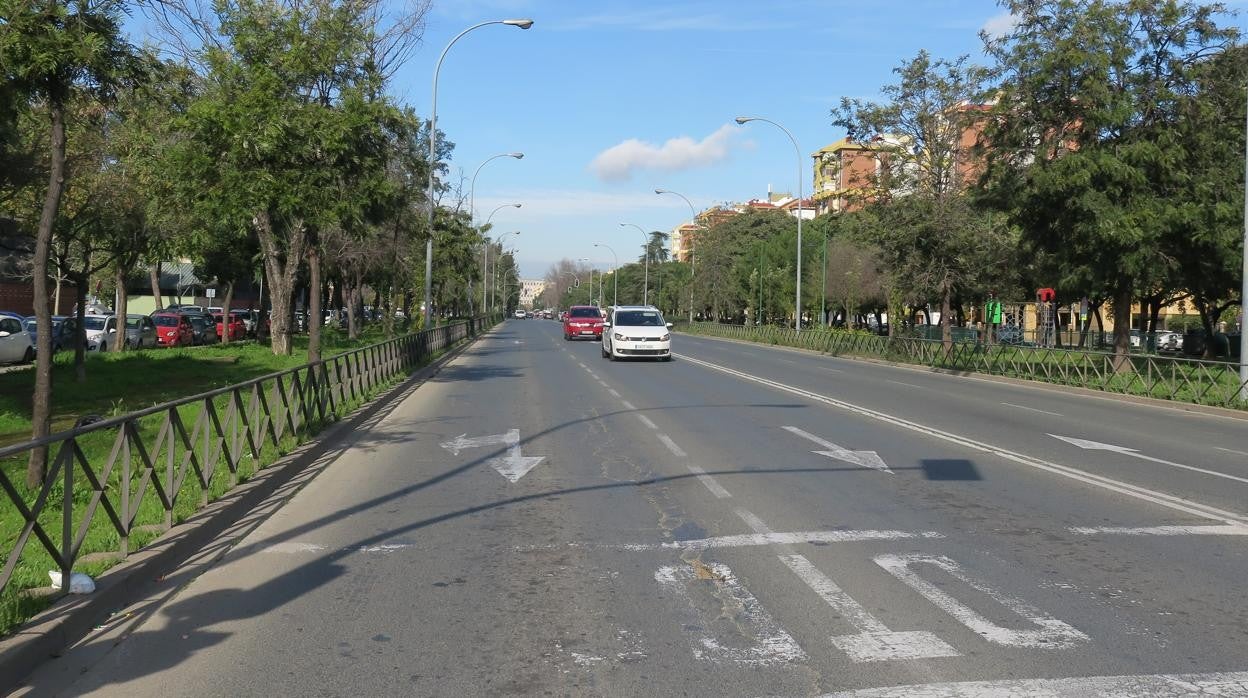 Avenida de la Paz, hasta la que el Comisionado quiere que llegue el tranvía
