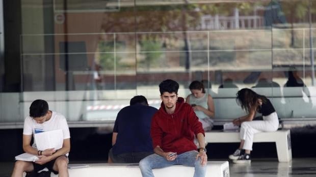 ¿Cuáles son los grados con las notas de corte más altas en Sevilla?