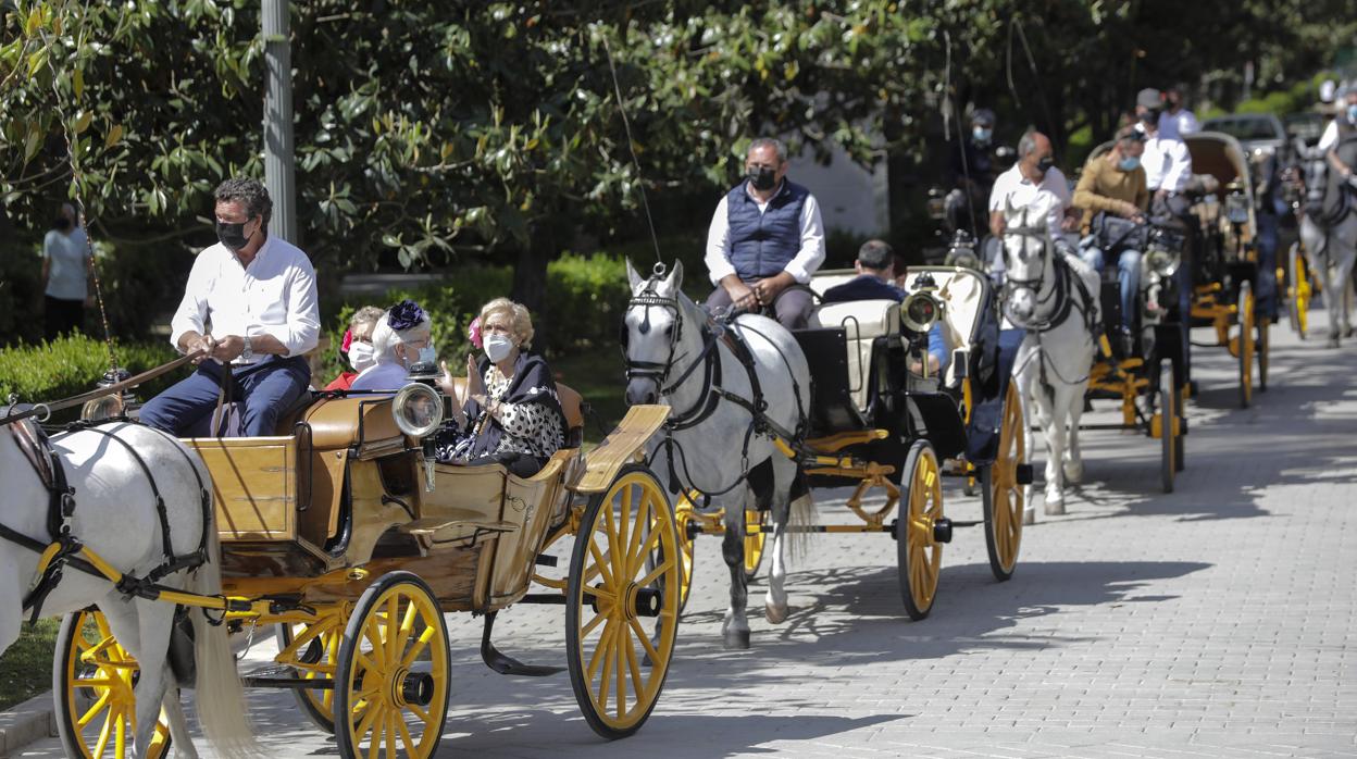 Coches de caballo de paseo por Sevilla