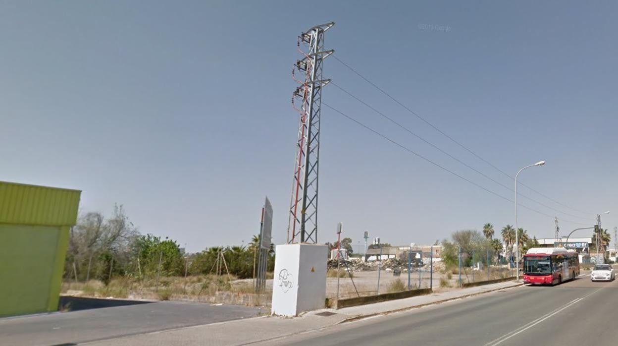 Calle Secoya