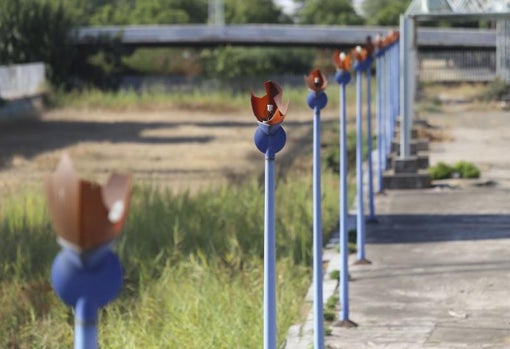 Farolas rotas en el recinto