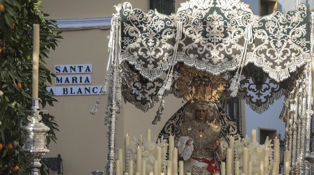 El palio de la Candelaria, que no es azul ni verde, llegando a los Jardines de Murillo