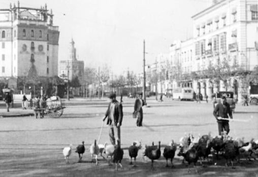Pavero en la avenida de Roma, año 1940