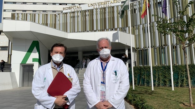 Descubren un biomarcador que predice la supervivencia en pacientes Covid y posiblemente en algunos cánceres