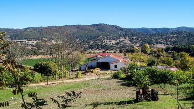 Cinco casas rurales donde pasar el puente del 28 de febrero en Sevilla