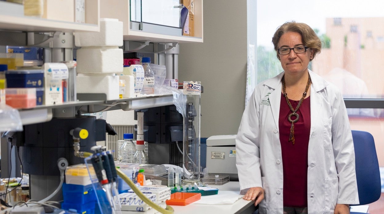 La investigadora Yolanda Pacheco en el Instituto de Biomedicina de Sevilla