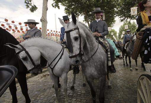 Caballistas en el real de la Feria de Abril de Sevilla
