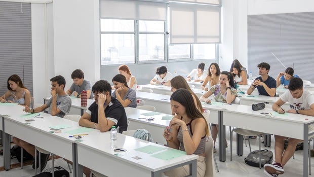 Cómo calcular tu nota de Selectividad 2022