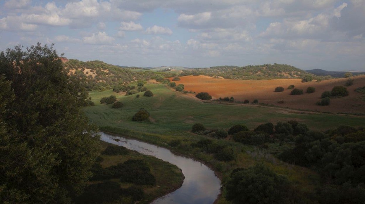 Zona en la que el Ayuntamiento de Lebrija proyecta la planta de residuos