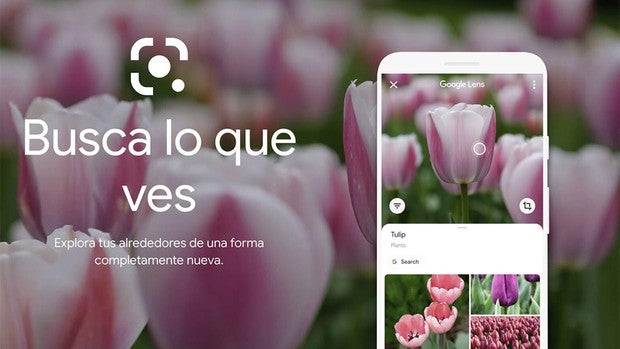 Google Lens, qué es y qué puedes hacer con esta app