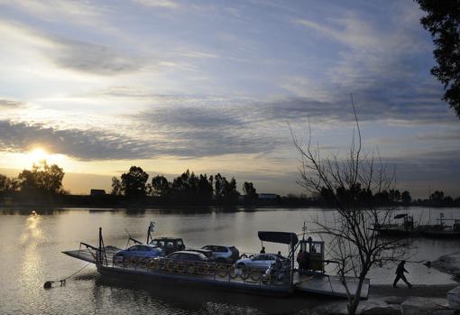 Barcaza que cruza el Guadalquivir en la zona de Coria del Río