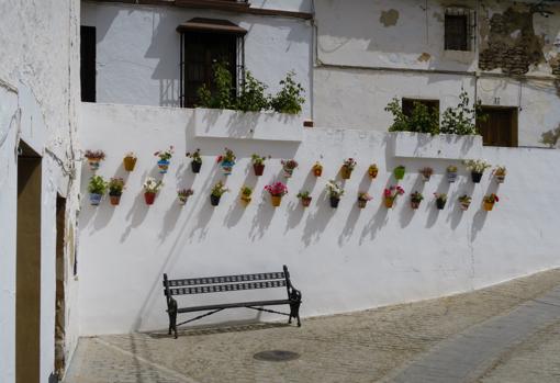 La oferta de bares y restaurantes que se concentra en Setenil de las Bodegas es muy amplia