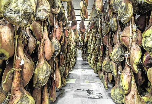 Secadero de Jamones Vallejo en Trevélez