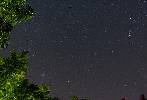 Cielo plagado de estrellas
