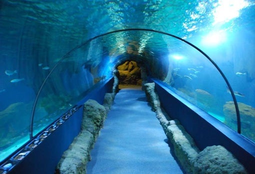 Ocenario de Almuñécar