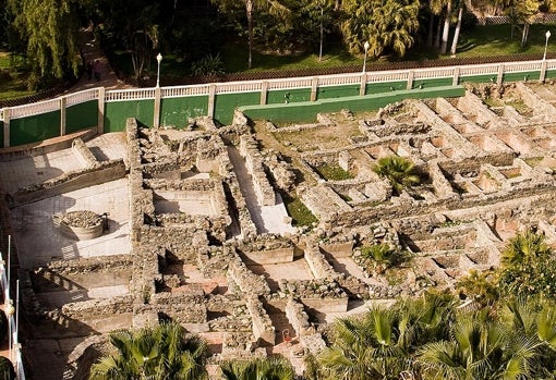 Imagen de pájaro de la Factoría de Salazón