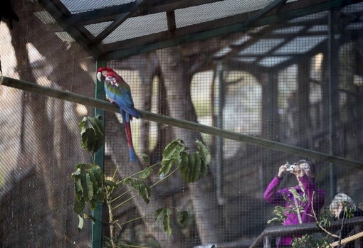 Parque Ornitológico 'Loro Sexi'