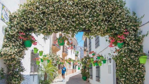 Un día en Estepona: espetos, playas y orquídeas
