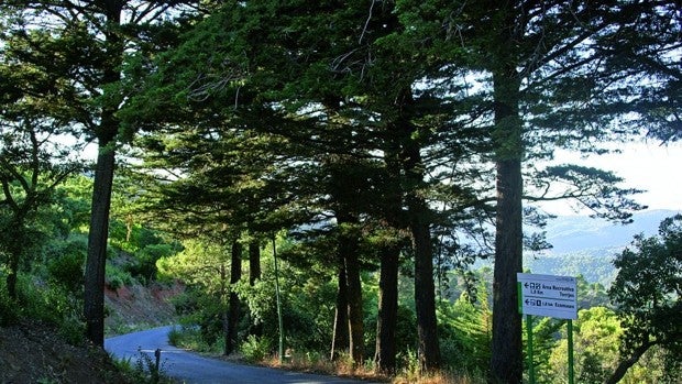 Descubriendo los Montes de Málaga, un paraíso natural a sólo dos pasos del azul del Mediterráneo