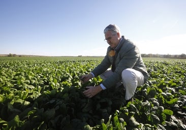 El tomate rosa y la cebolla negra ecológica de Córdoba entran en la prestigiosa cocina de los hermanos Roca