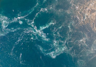 ¿Qué hacer si te estás dando un baño en la playa y te ves arrastrado por una resaca marina?