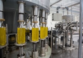 El aceite de oliva andaluz, más oro líquido que nunca