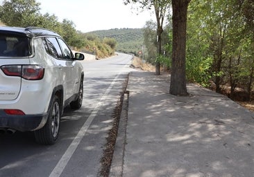 La Diputación de Córdoba asumirá la obra de los acerados de la carretera del Santuario de Aras en Lucena