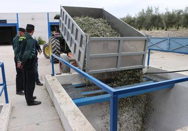 Robos en el campo de Córdoba: la Guardia Civil recupera 2.000 kilos de naranjas y más de 700 de aceitunas