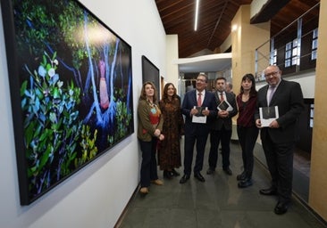 El catálogo del premio Citoler enseña la obra de catorce fotógrafos