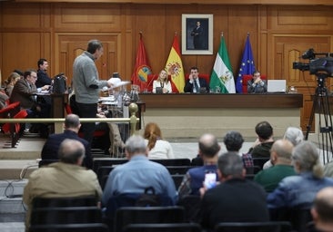 El pleno del Ayuntamiento aprueba pedir que la estación tenga el nombre de Julio Anguita