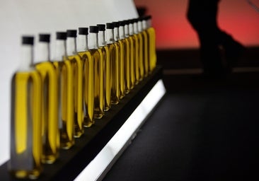 ¿Llegará el aceite de oliva a los 12 euros el litro en los supermercados?