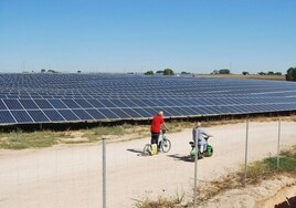 Una de las plantas solares instaladas en el término municipal de Alcalá de Guadaíra