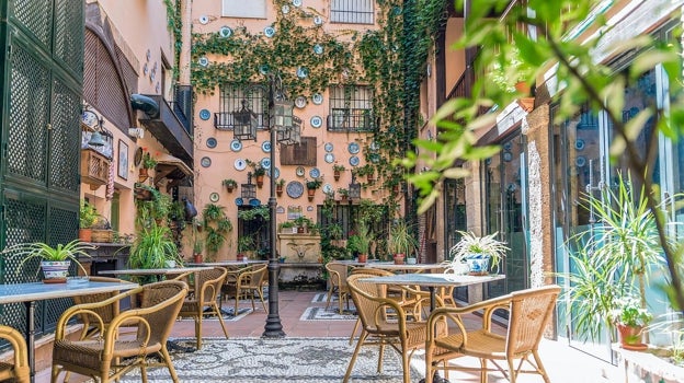 Patio del Hotel Posada del Toro