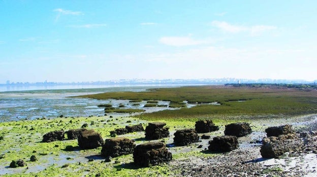 Parque Natural de la Bahía de Cádiz