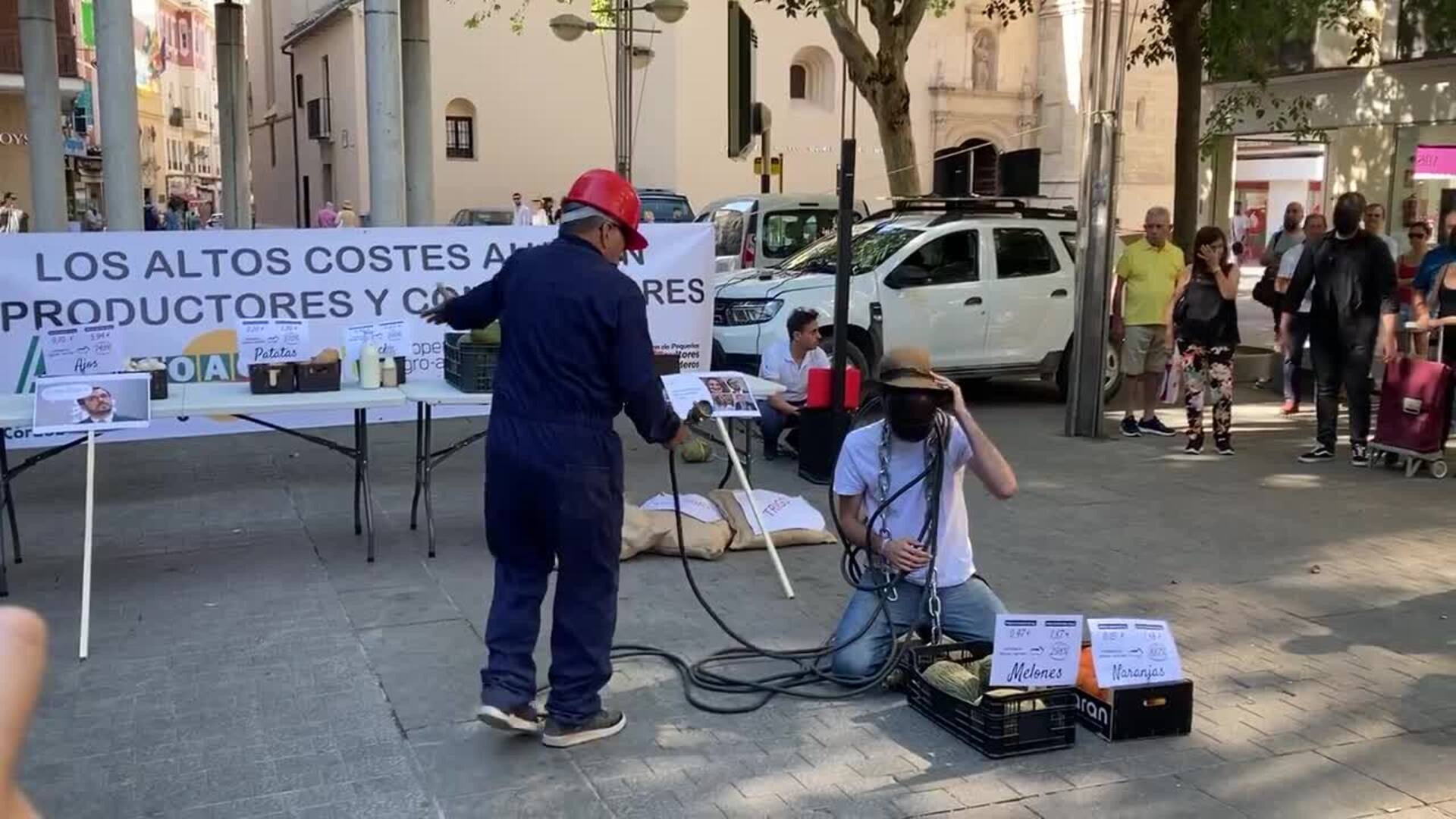 Concentración del sector del campo