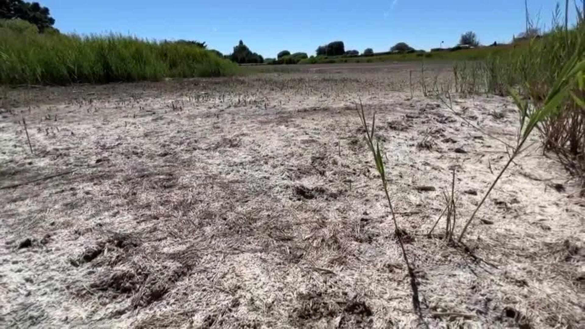 El calor y la sequía amenazan los cultivos de Francia