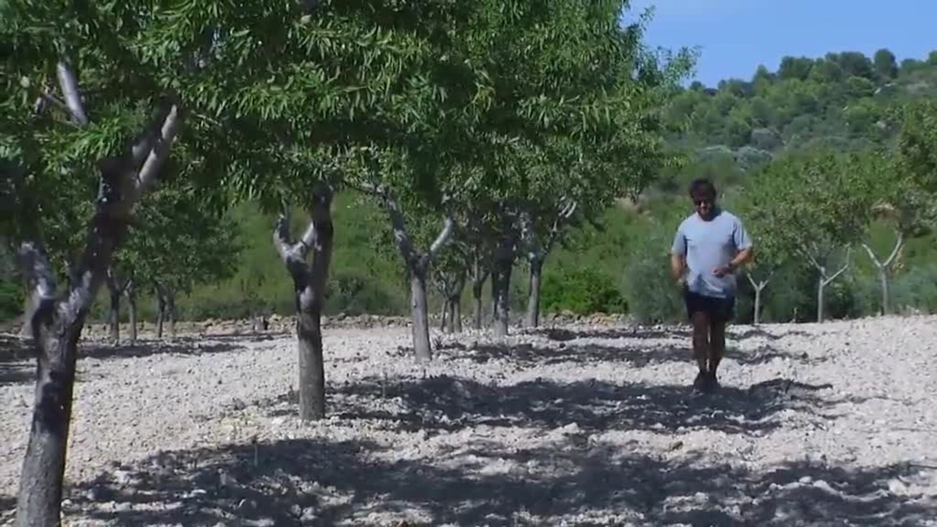 El campo sufre por la sequía