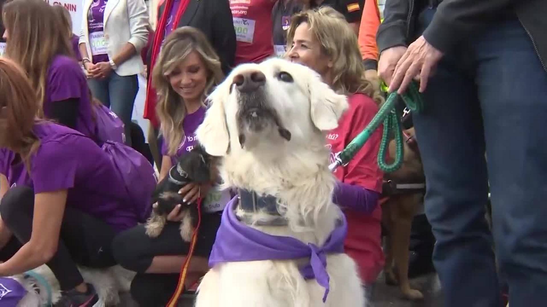 Miles de perros y sus amos corren el Perrotón contra el abandono animal y por la adopción