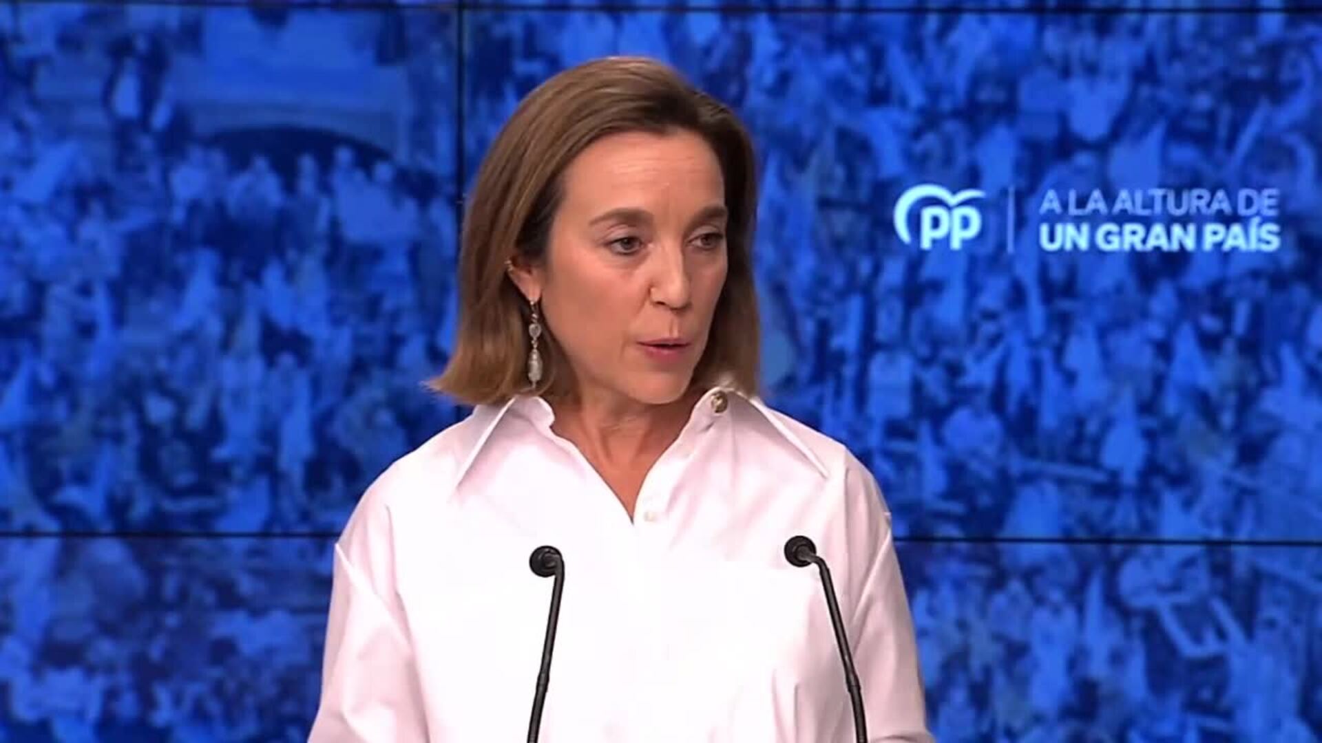 PP solicita el trámite para que expertos y familias comparezcan sobre la Ley Trans