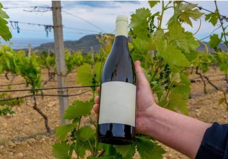 Conozca algunos de los mejores vinos de Castilla-La Mancha para 2023