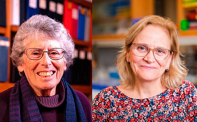 Imagen principal - Susan Alberts y Jeanne Altmann.