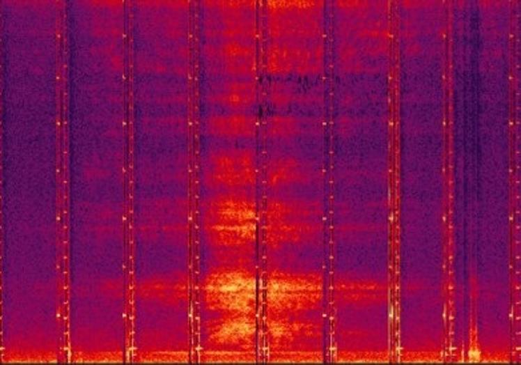 Imagen principal - Colormetría de una fuga detectada por Nautilus.