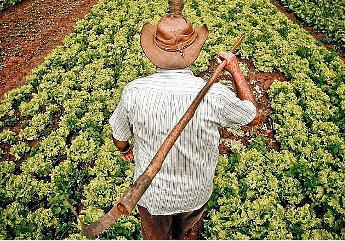Un Erasmus para el campo español