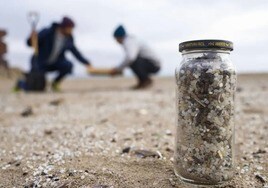 Tiktok, Whatsapp e Instagram para limpiar las playas de pélets